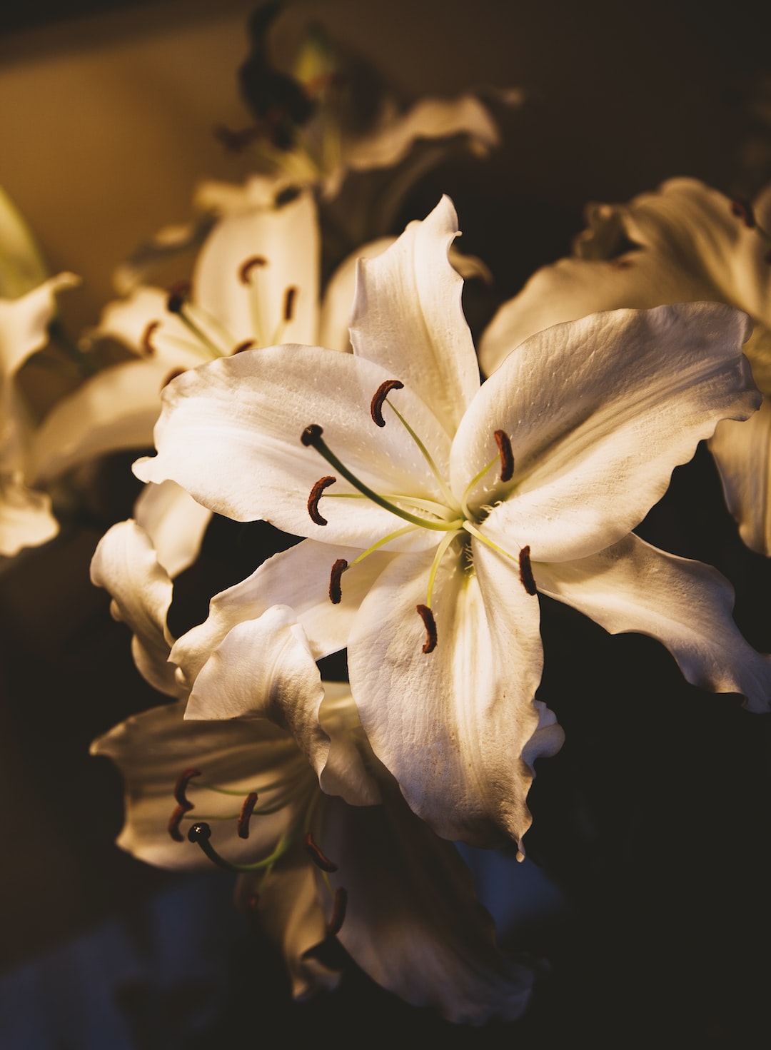 selective focus photography of white lily flower
