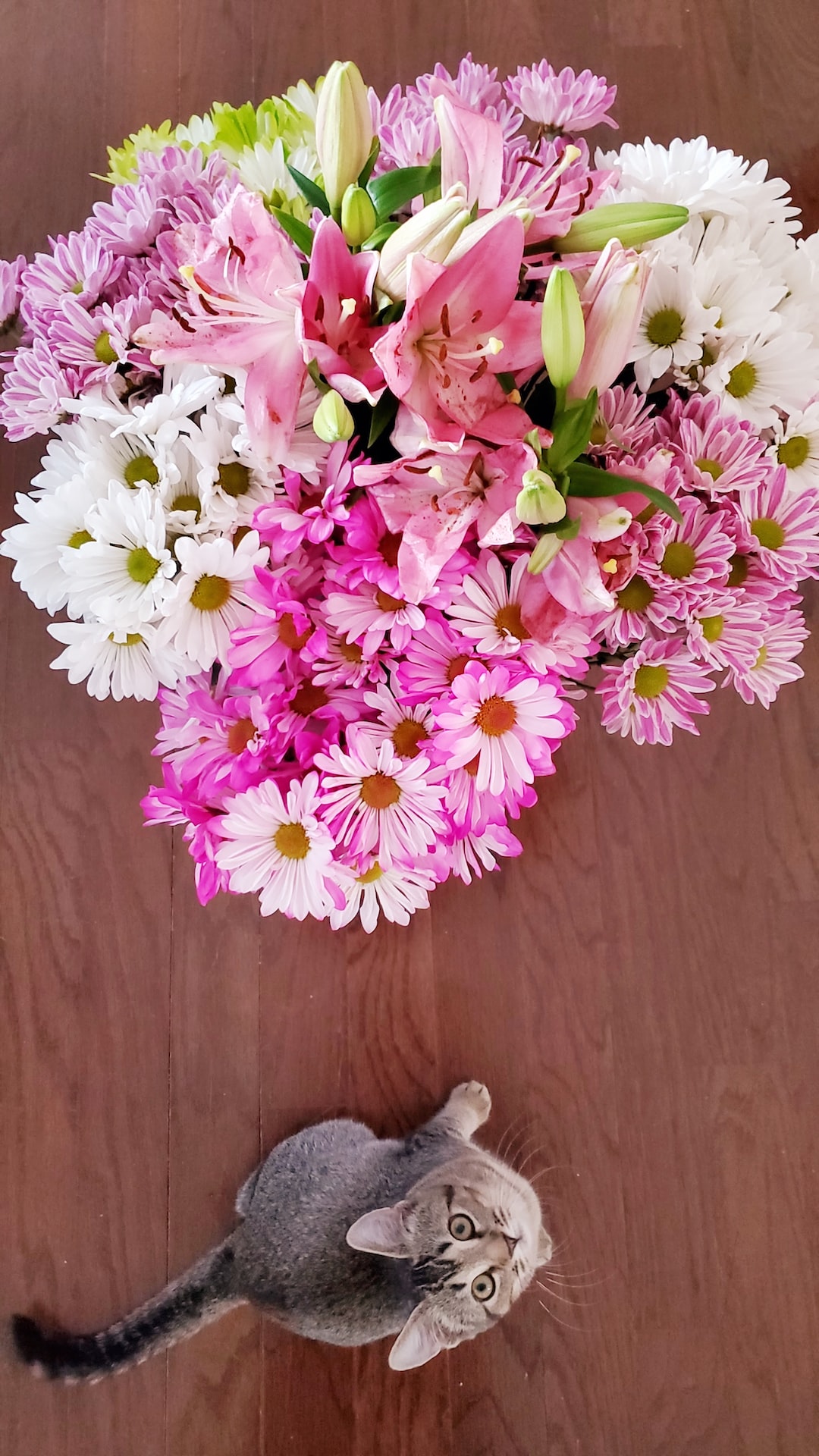 pink and white flowers on brown wooden table
