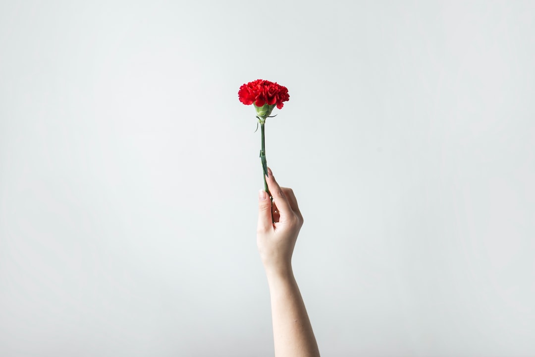 right person's hand holding flower